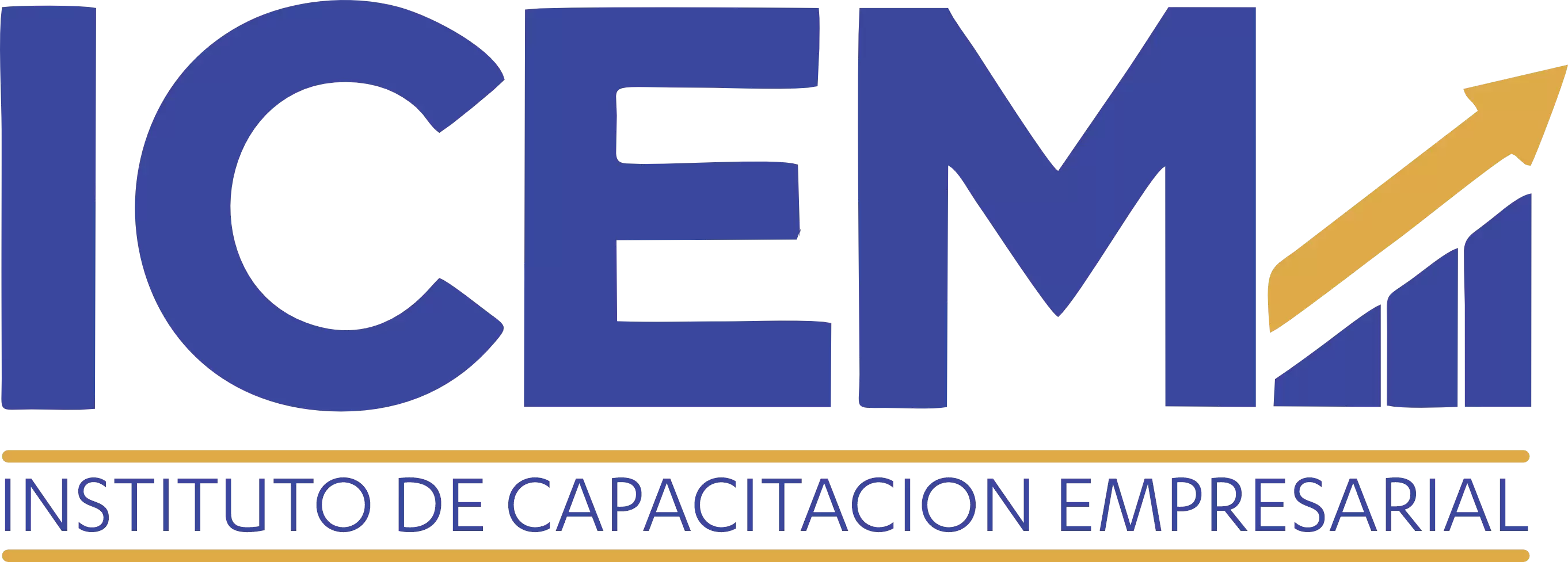 Instituto ICEM Logo